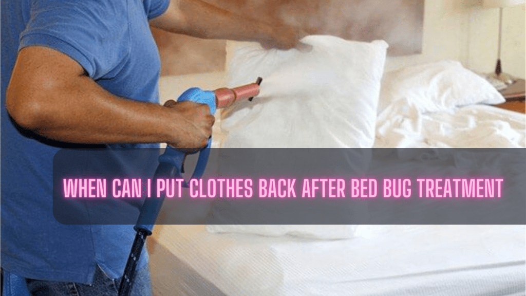 View of When Can I Put Clothes Back After Bed Bug Treatment?